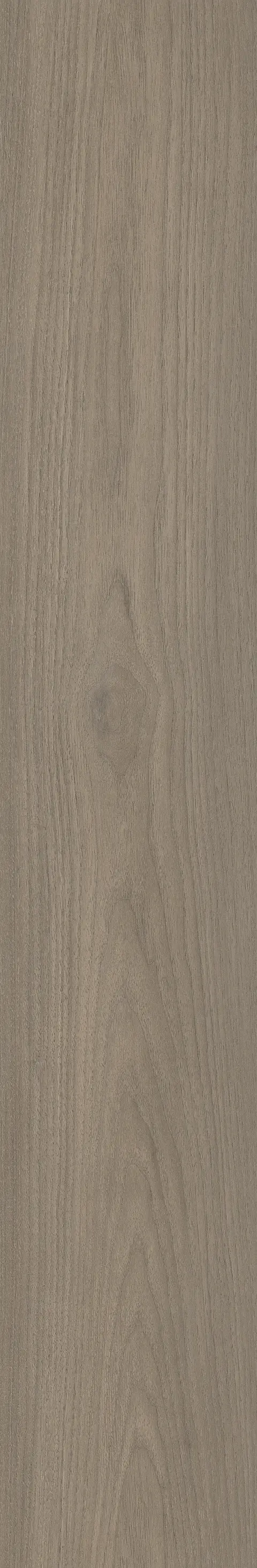 CANARY WOOD FOG