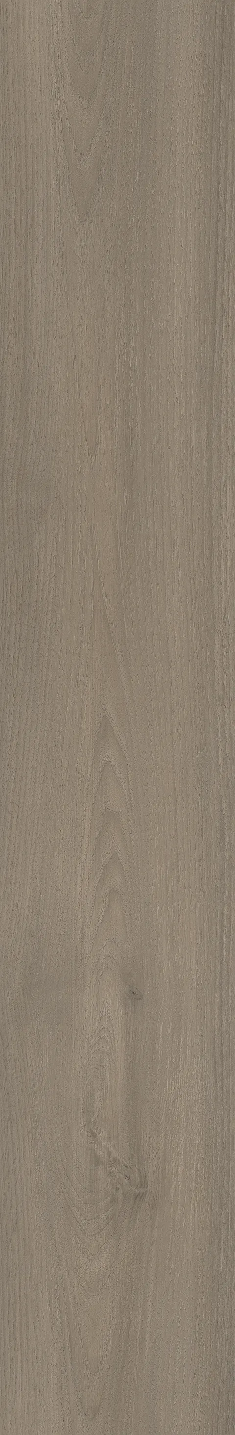 CANARY WOOD FOG