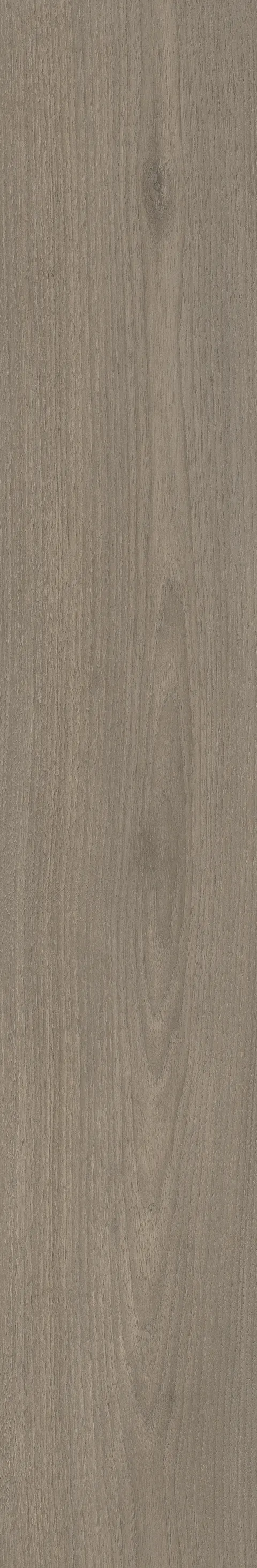 CANARY WOOD FOG