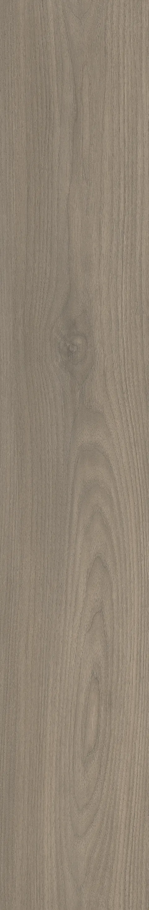 CANARY WOOD FOG
