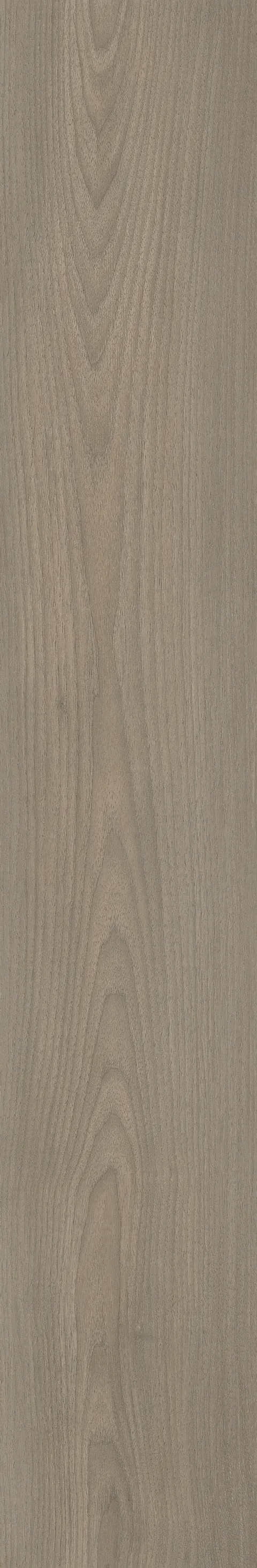 CANARY WOOD FOG