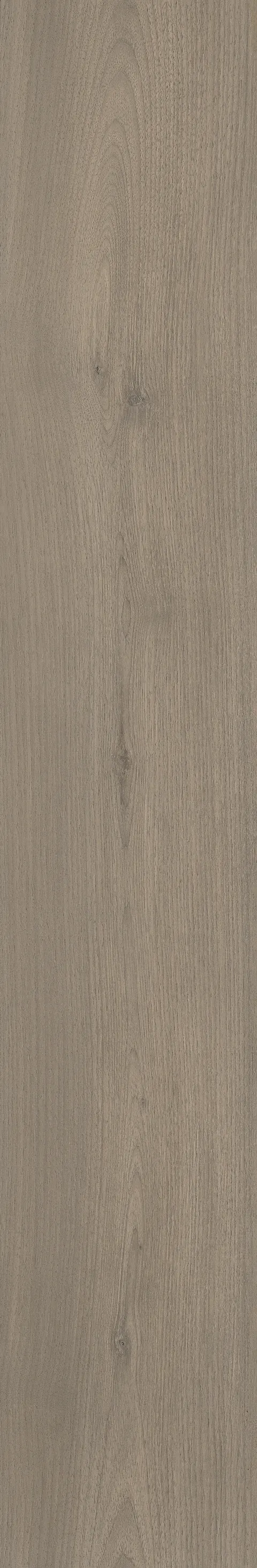 CANARY WOOD FOG