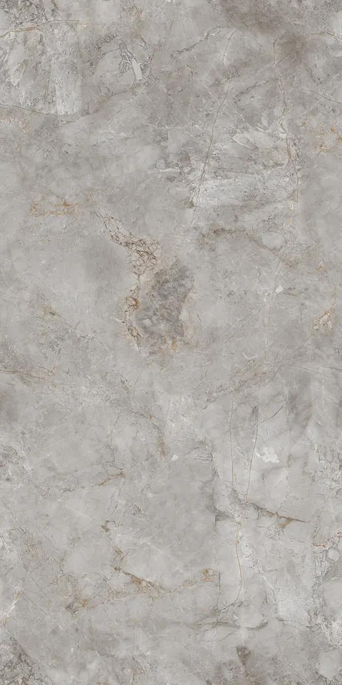 FOSSIL GREY