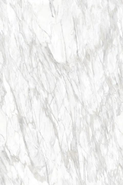 LUCATERRA WHITE