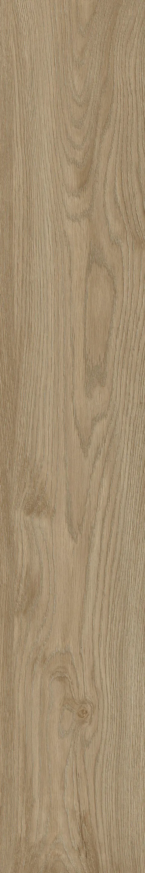 HOOPINE WOOD MUSTARD