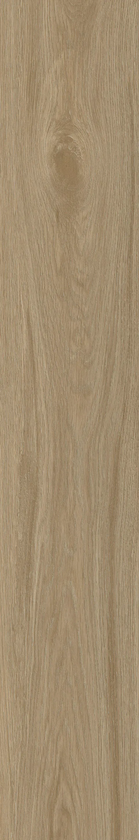HOOPINE WOOD MUSTARD