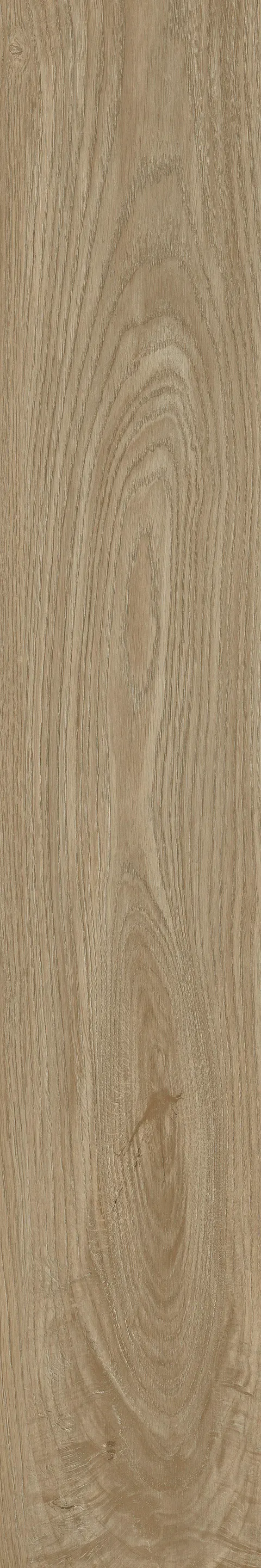 HOOPINE WOOD MUSTARD