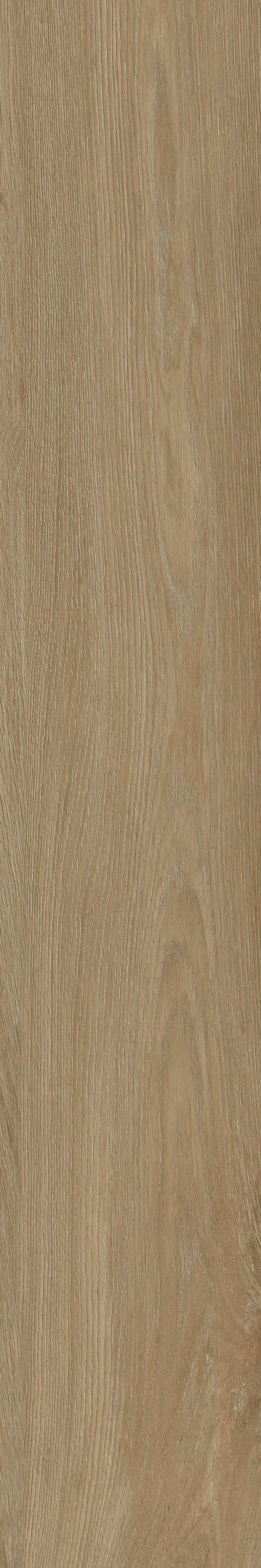 HOOPINE WOOD MUSTARD
