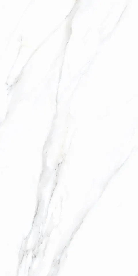 PALIDO WHITE TECH