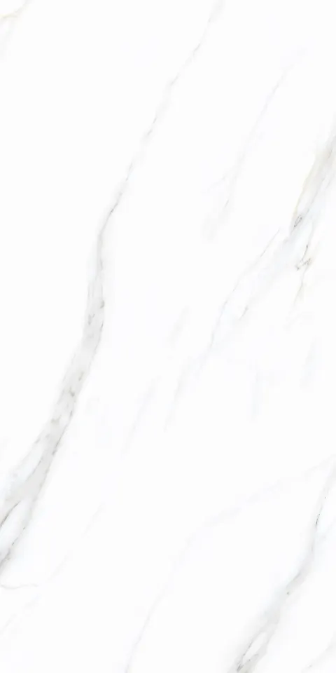 PALIDO WHITE