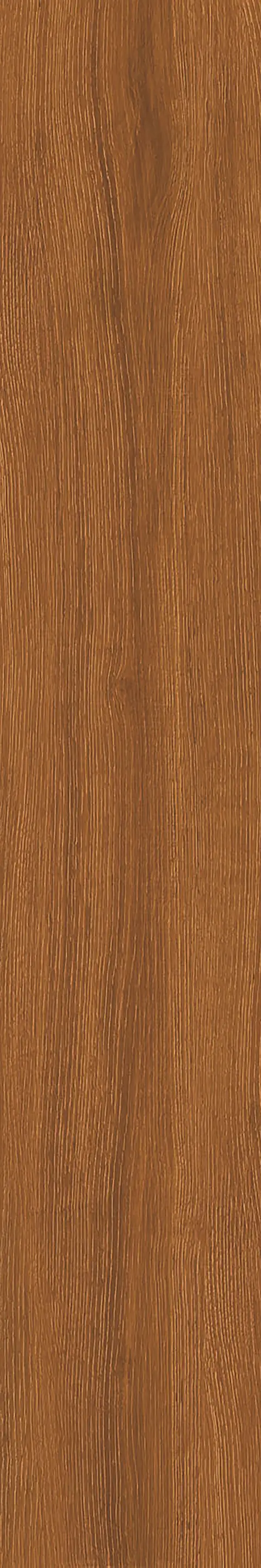 SANDLE WOOD BISTRE