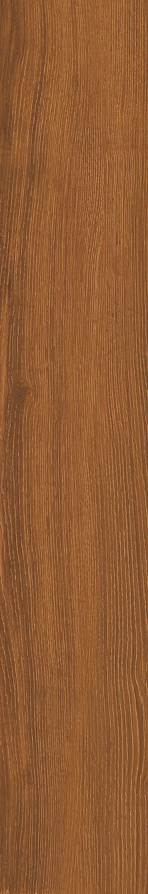 SANDLE WOOD BISTRE