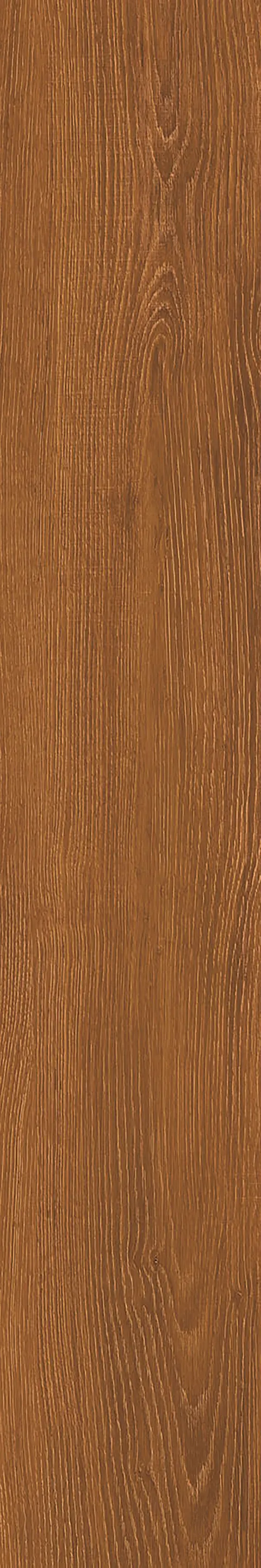 SANDLE WOOD BISTRE