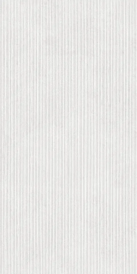 CEMEXA SILVER ZIG