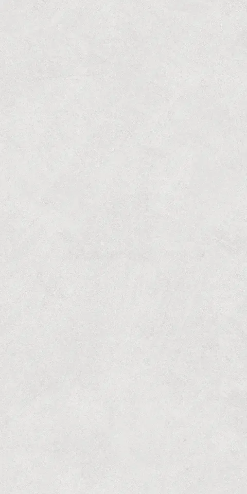 CEMEXA SILVER