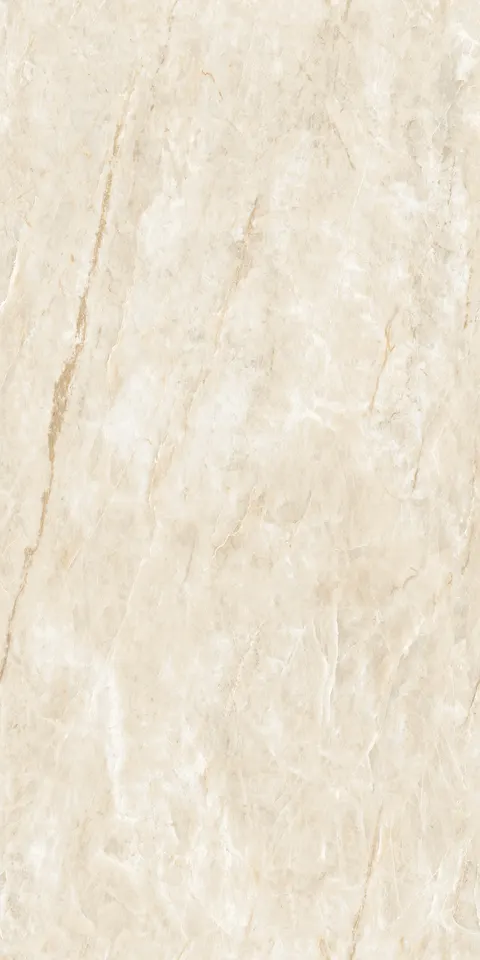 TAJ MAHAL TECH