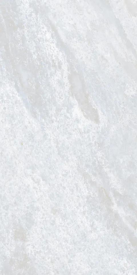 LUCITE PEARL EVO view 5