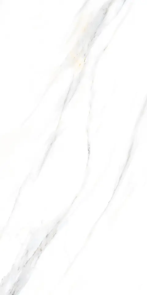PALIDO WHITE TECH