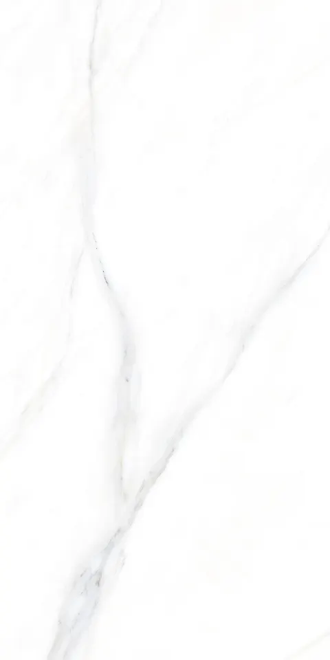 PALIDO WHITE TECH