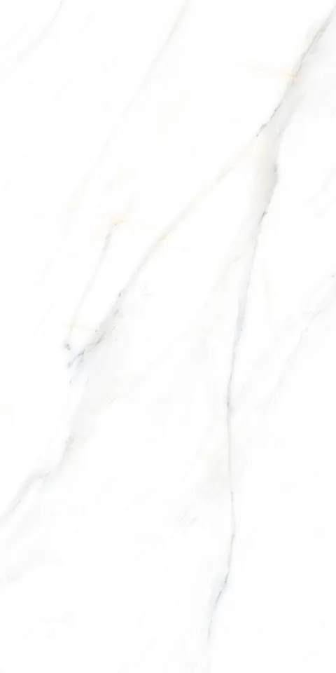 PALIDO WHITE TECH