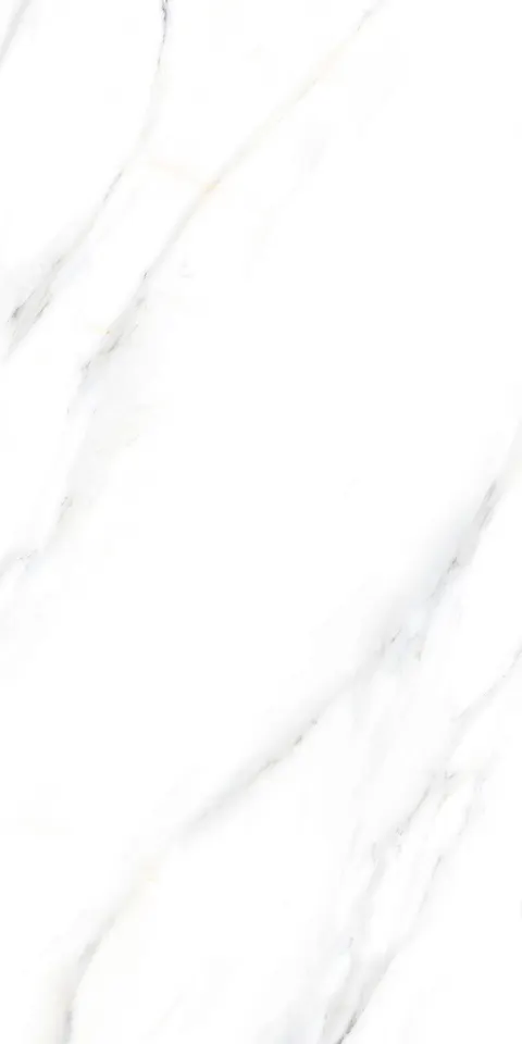 PALIDO WHITE TECH