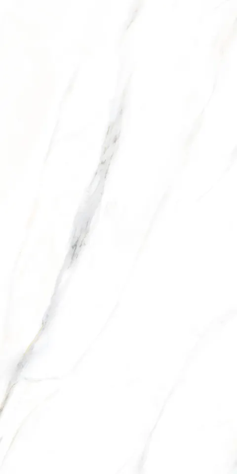PALIDO WHITE TECH
