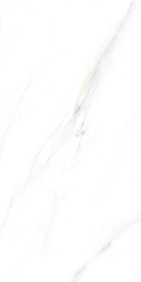 PALIDO WHITE TECH