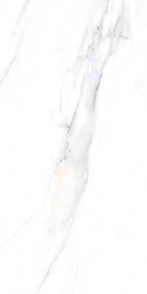 PALIDO WHITE TECH