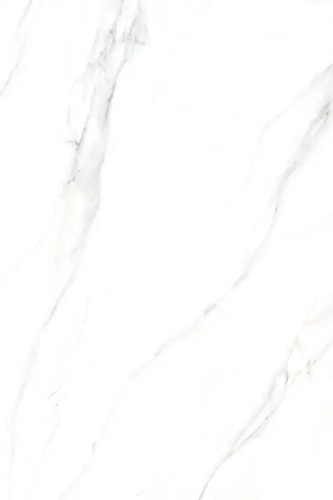 PALIDO WHITE