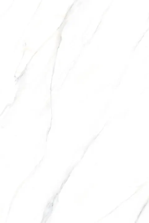 PALIDO WHITE