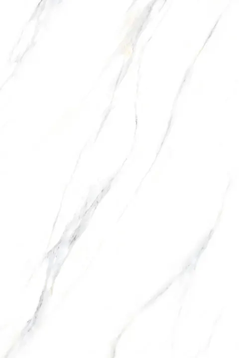PALIDO WHITE
