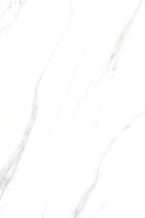 PALIDO WHITE