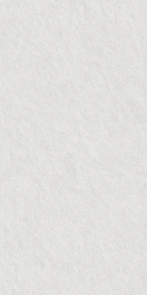 CEMEXA SILVER