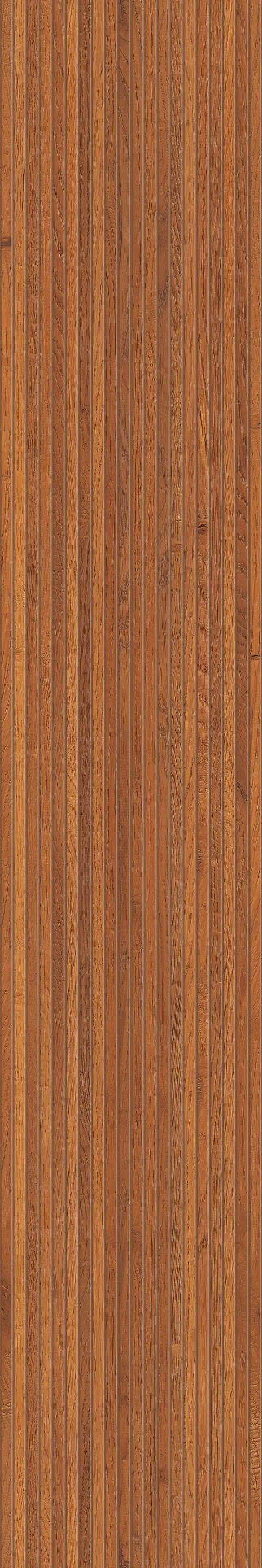 STRIATED WOOD BROWN