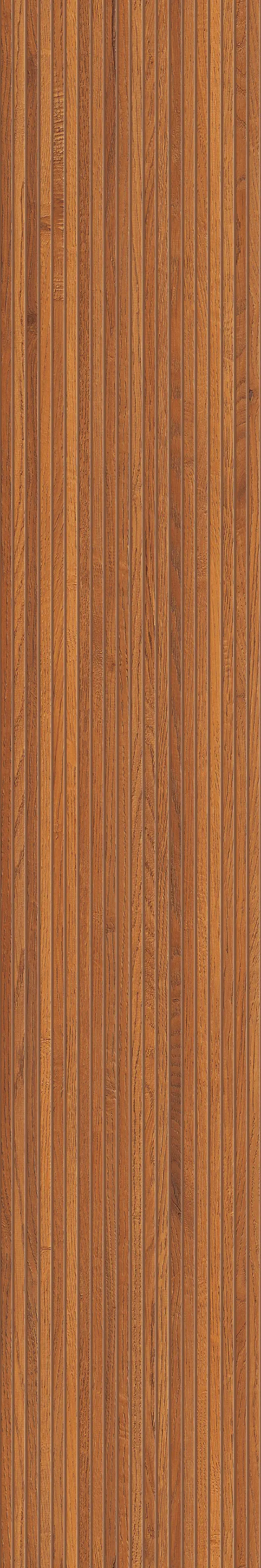STRIATED WOOD BROWN view 2