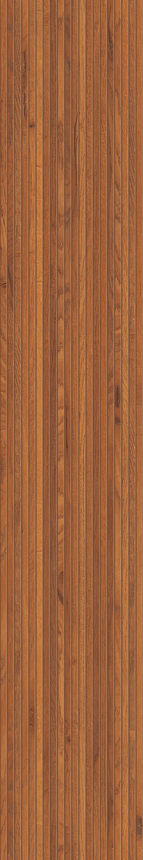 STRIATED WOOD BROWN view 3