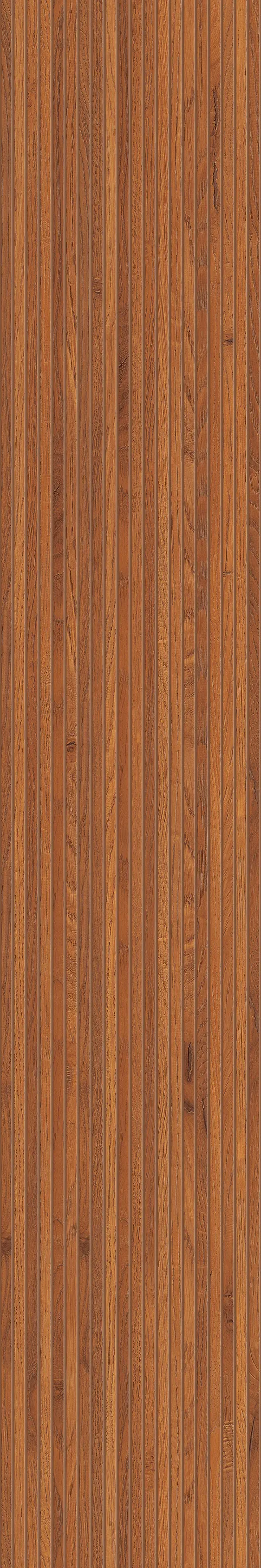 STRIATED WOOD BROWN view 5