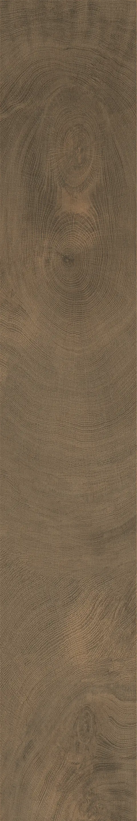 OXFORD WALNUT