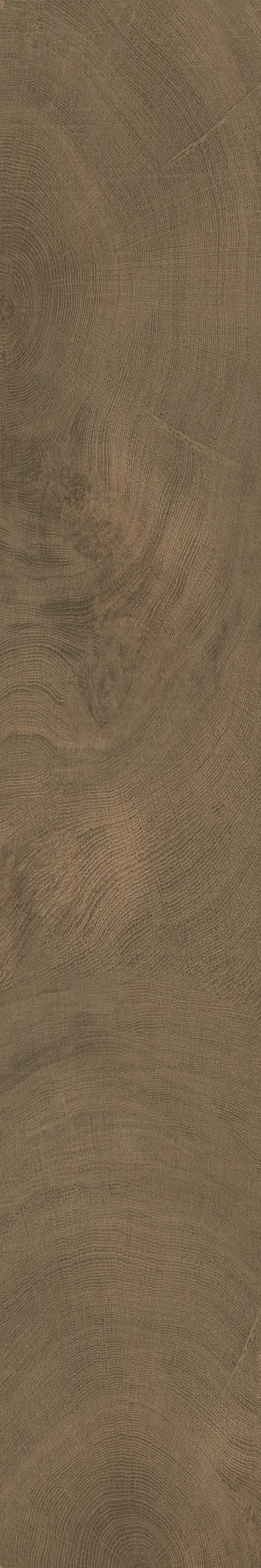 OXFORD WALNUT