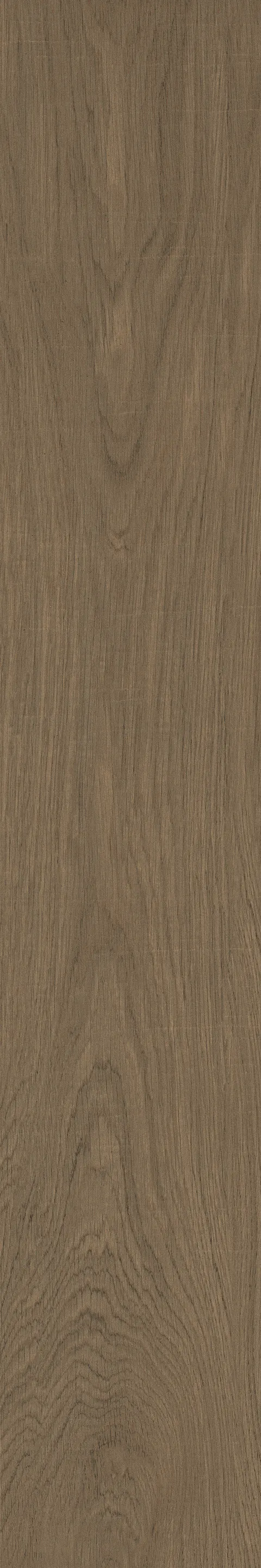 OXFORD WALNUT