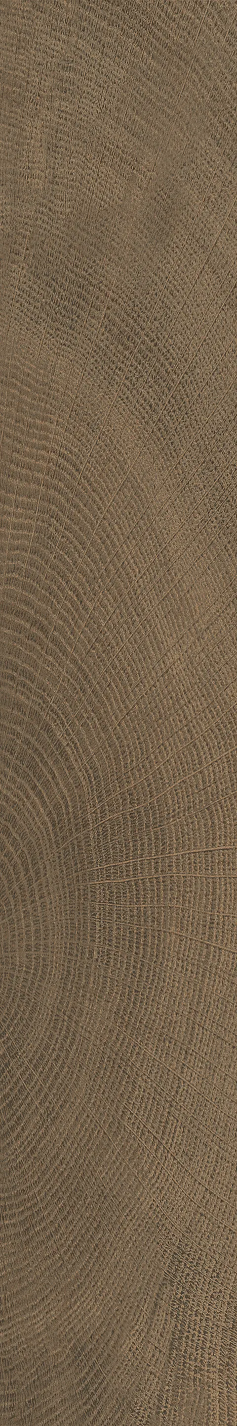 OXFORD WALNUT