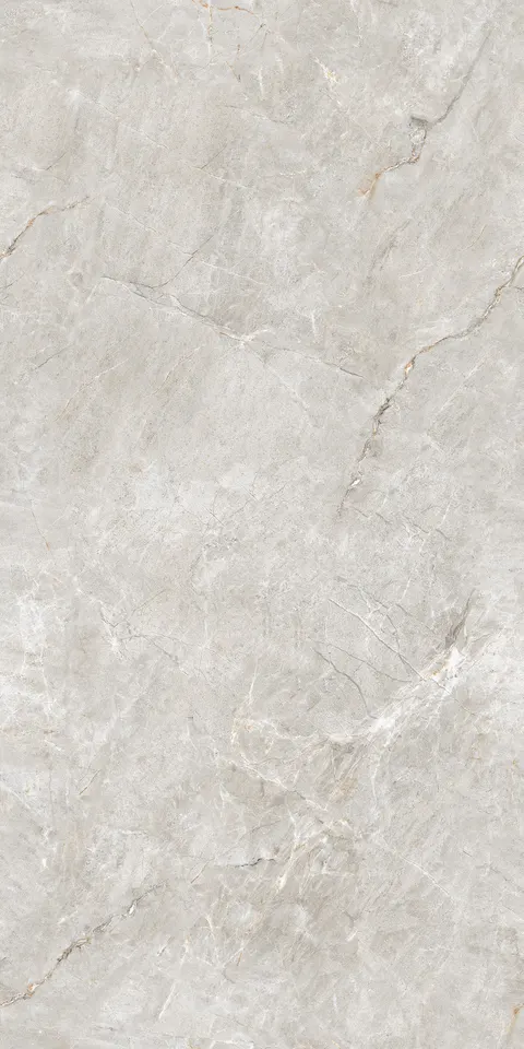 FORESTA GREY EVO